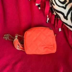 Small Stylish Crossbody